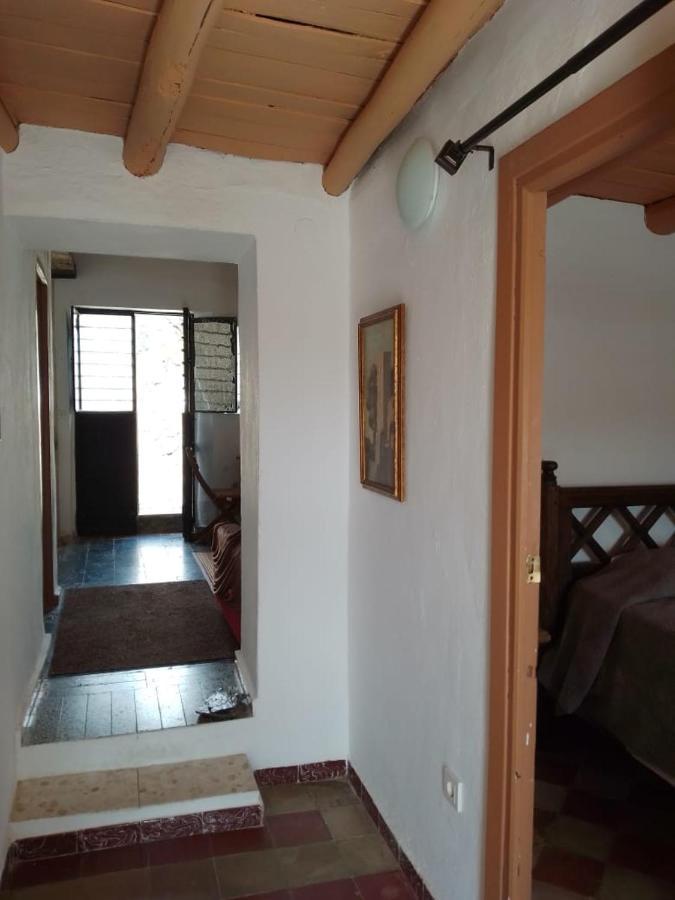 La Casita En La Alcornocosa -sevilla Hébergement de vacances Séville